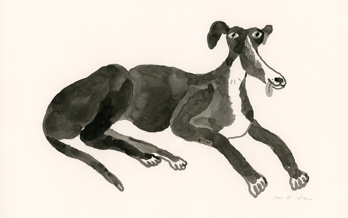 Pet portrait by Tom Bingham