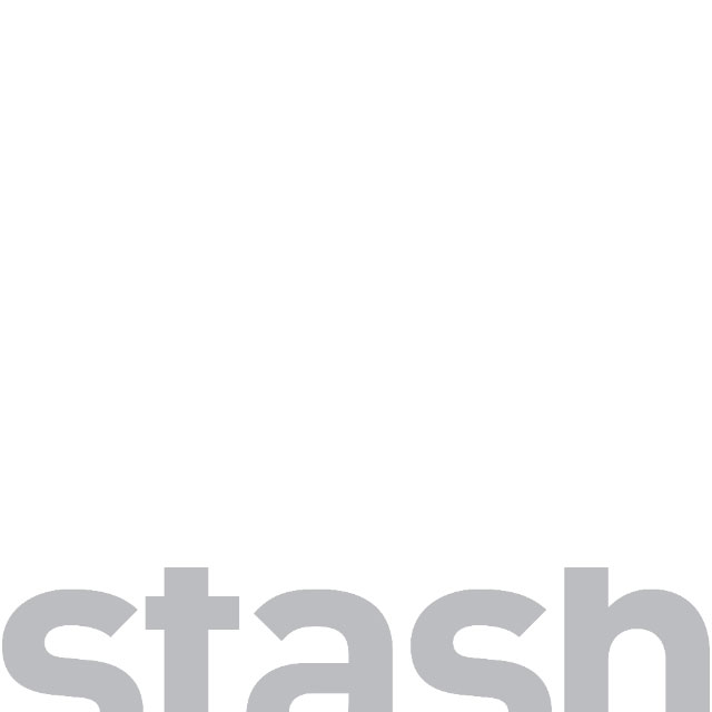 Stash Logo
