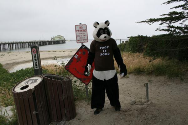 Rebranding sustainability with Greeny the Bear, 2010 Project M alumni