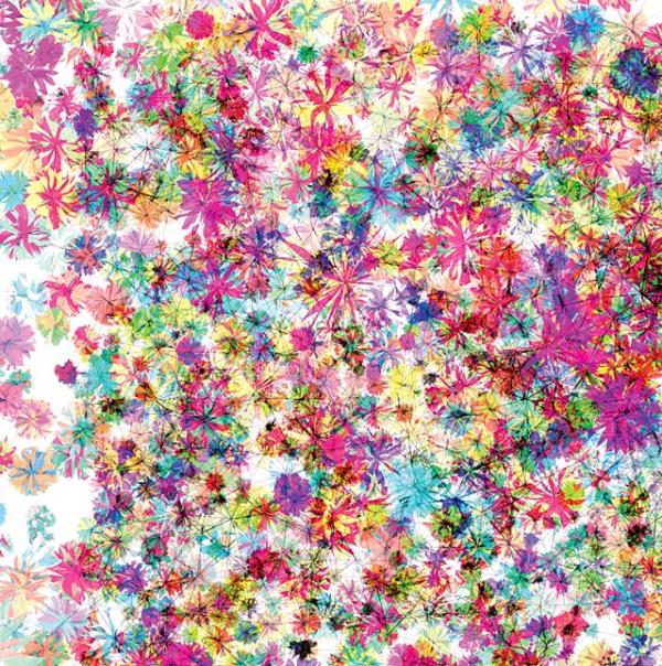 “Florada,” a pattern made for use as a laminated counter top, 2004